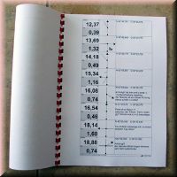 Korsika-Spezial-Tour als Farbdruck